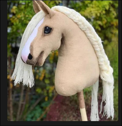 Est-ce que cela ressemble &agrave; l'&eacute;quitation ?