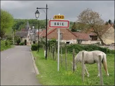 Nous sommes &agrave; l'entr&eacute;e de Brie. Petit village Axonais de 55 habitants, il se situe dans l'ex r&eacute;gion ...