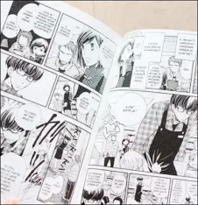 Quel manga a &eacute;t&eacute; refus&eacute; plusieurs fois avant de devenir un &eacute;norme succ&egrave;s ?