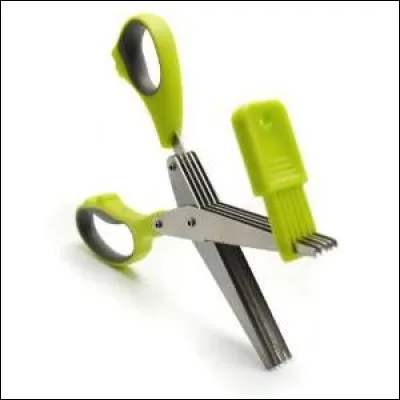 Pour couper menu l'estragon, le persil on utilise une paire de...