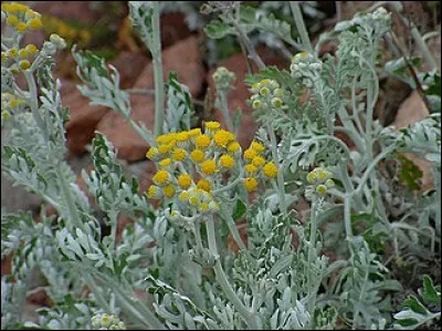 Le premier livre de Julien Green, c'est...