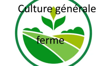 Quiz Culture g�n�rale