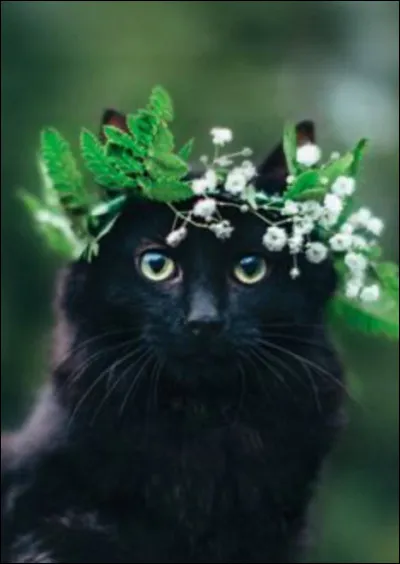 Vient enfin le temps de ton bapt&ecirc;me de guerrier, comment t�appelles-tu ?