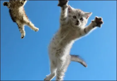 Tu es enfin nomm&eacute; apprenti, Nuage Enflamm&eacute;, que fais-tu ?