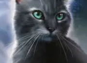 Quiz LGDC : connais-tu bien Soie de Gel ?