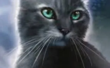 Quiz Litt�rature, po�sie