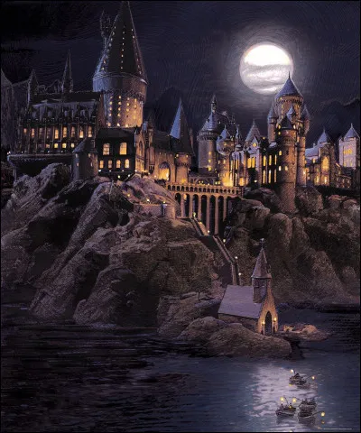 Qui est dans l'univers de Harry Potter ?