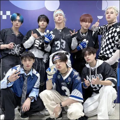 Tu es plut&ocirc;t du genre...