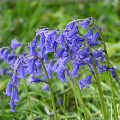 Vrai ou faux ?Dans la musique il existe des claviers.