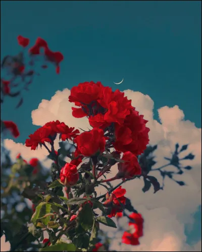 Ton endroit id&eacute;al est...