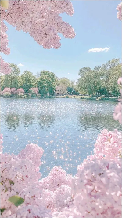 C'est d&eacute;j&agrave; la fin, choisis &agrave; pr&eacute;sent une image, celle que tu aimes le plus.