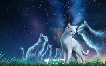 Quiz Litt�rature, po�sie