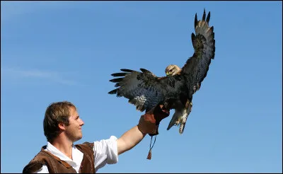 Quel est le nom de la personne qui &eacute;l&egrave;ve, entra&icirc;ne et soigne des faucons et d'autres rapaces ?