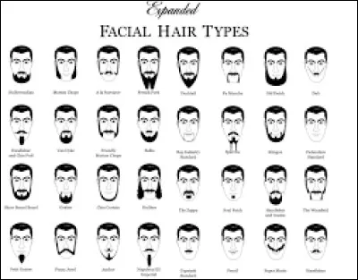 Il existe diff&eacute;rents types de barbe ; dans les photos ci-dessous retrouvez la barbe viking ?