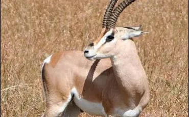 Quiz Culture g�n�rale