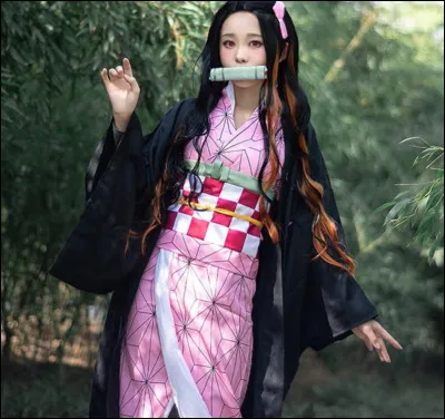 Quel est ce personnage ?