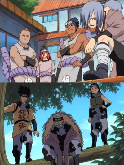 Quel est le nom de l'examen que Naruto et ses amis passent pour monter en grade ?