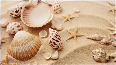 Comment s'appelle le sable protecteur qui entoure toujours Gaara ?