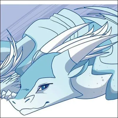 Quel est son nom en anglais ?