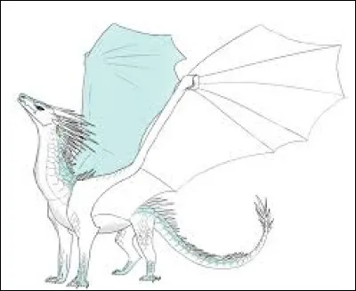 Que renferme l�anneau ?