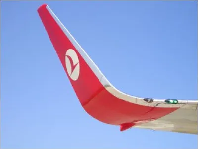 Comment s'appelle cette terminaison d'aile d'avion ?