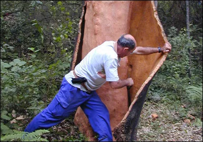 Quel est le nom de l'ouvrier qui r&eacute;colte le li&egrave;ge ?