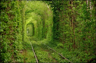 Voil&agrave; le tunnel de l'amour de Klevan, situ&eacute; dans un pays &agrave; qui l'on souhaite, en soutien avec ses habitants, de faire l'amour et pas la guerre. O&ugrave; suis-je ?