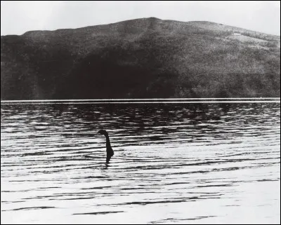 Petit, petit. O&ugrave; suis-je ?