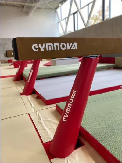 Quelle est la largeur exacte de la poutre sur laquelle les gymnastes &eacute;voluent ?