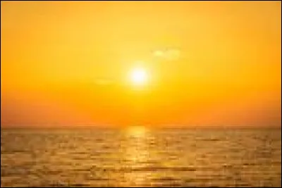 Quel genre de roman pr&eacute;f&egrave;res-tu ?