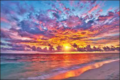 Quelles cr&eacute;atures fantastiques pr&eacute;f&egrave;res-tu ?