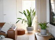 Quiz Connais-tu bien le ph�notype et sa diversit� ? Niveau 3e