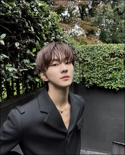 Quelle est sa couleur pr&eacute;f&eacute;r&eacute;e ?