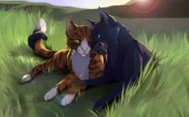 Quiz Test de personnalit�