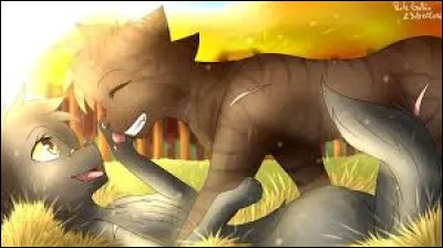 Si tu es une fille...Ton compagnon a les cheveux...