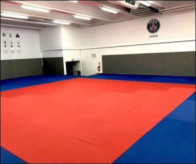 Quel sport se pratique sur un tatami ?