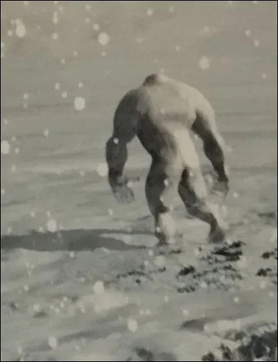 Quelle est cette cr&eacute;ature ?