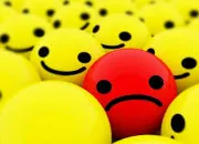 Quiz O� se cache l'intrus ?