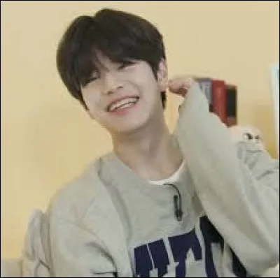 Quel est le Skzoo de Seungmin ?