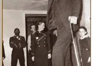 Quiz Records humains