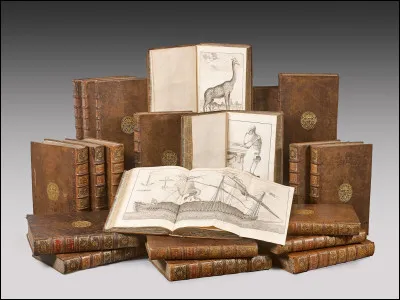 Sur quoi travaillent les &laquo; ligatores &raquo; ?