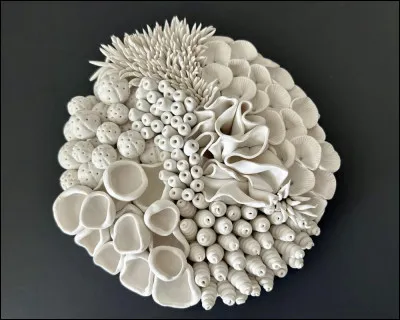 Quelle est ta fleur pr&eacute;f&eacute;r&eacute;e ?