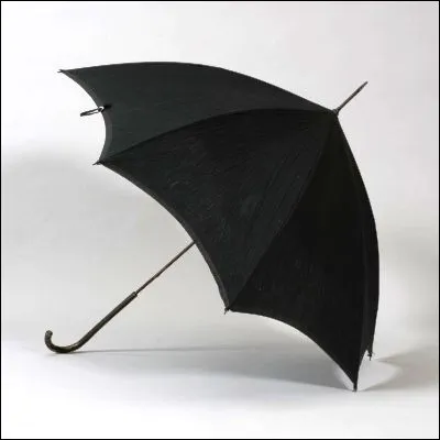 Quel &eacute;quivalent des dents garnit la bouche des mystic&egrave;tes ?