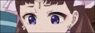 Maintenant, &agrave; qui appartiennent ces yeux ?