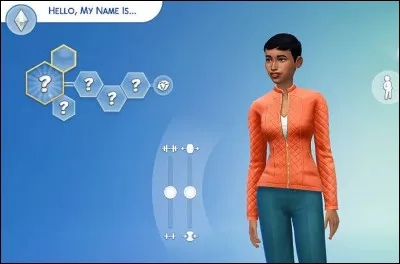 Question gameplay : Dans le mode "Cr&eacute;er un Sims", quels sont les param&egrave;tres sociaux que l'on peut d&eacute;terminer pour notre Sim ?