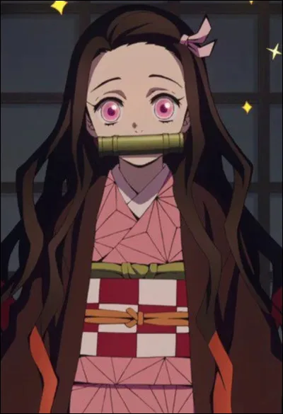 Quel est ton passe-temps favori ?