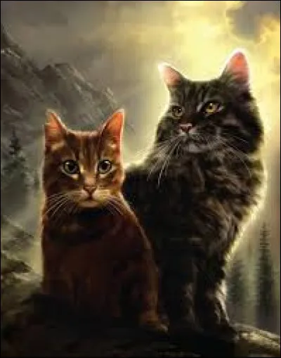 Vrai ou faux ?Source et Pelage d'Orage ont eu plus de 5 chatons