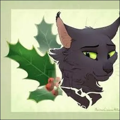 Vrai ou faux ?Feuille de Houx a les yeux vert clair.