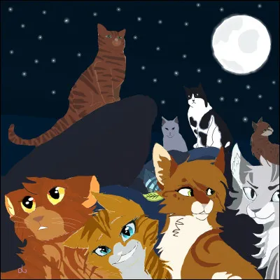 Le plus beau pour moi ! Qui est-ce ?