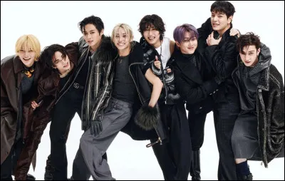 Trouve le maknae du groupe.